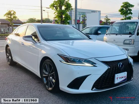 2020 LEXUS ES300h