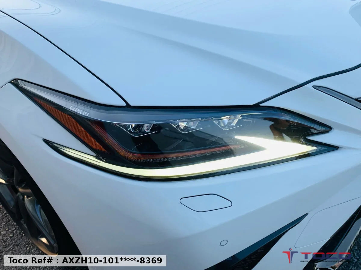 2020 LEXUS ES300h