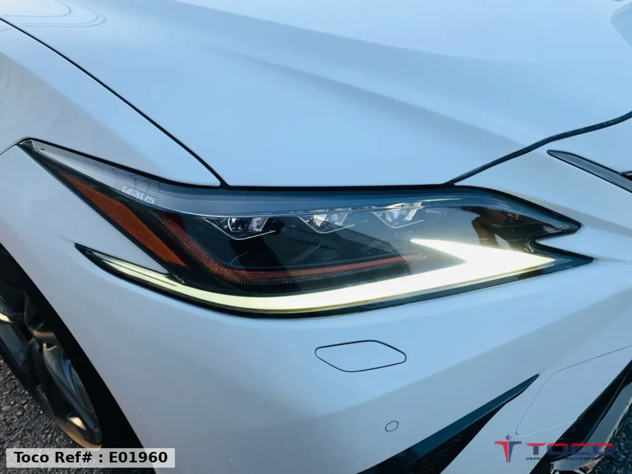 2020 LEXUS ES300h