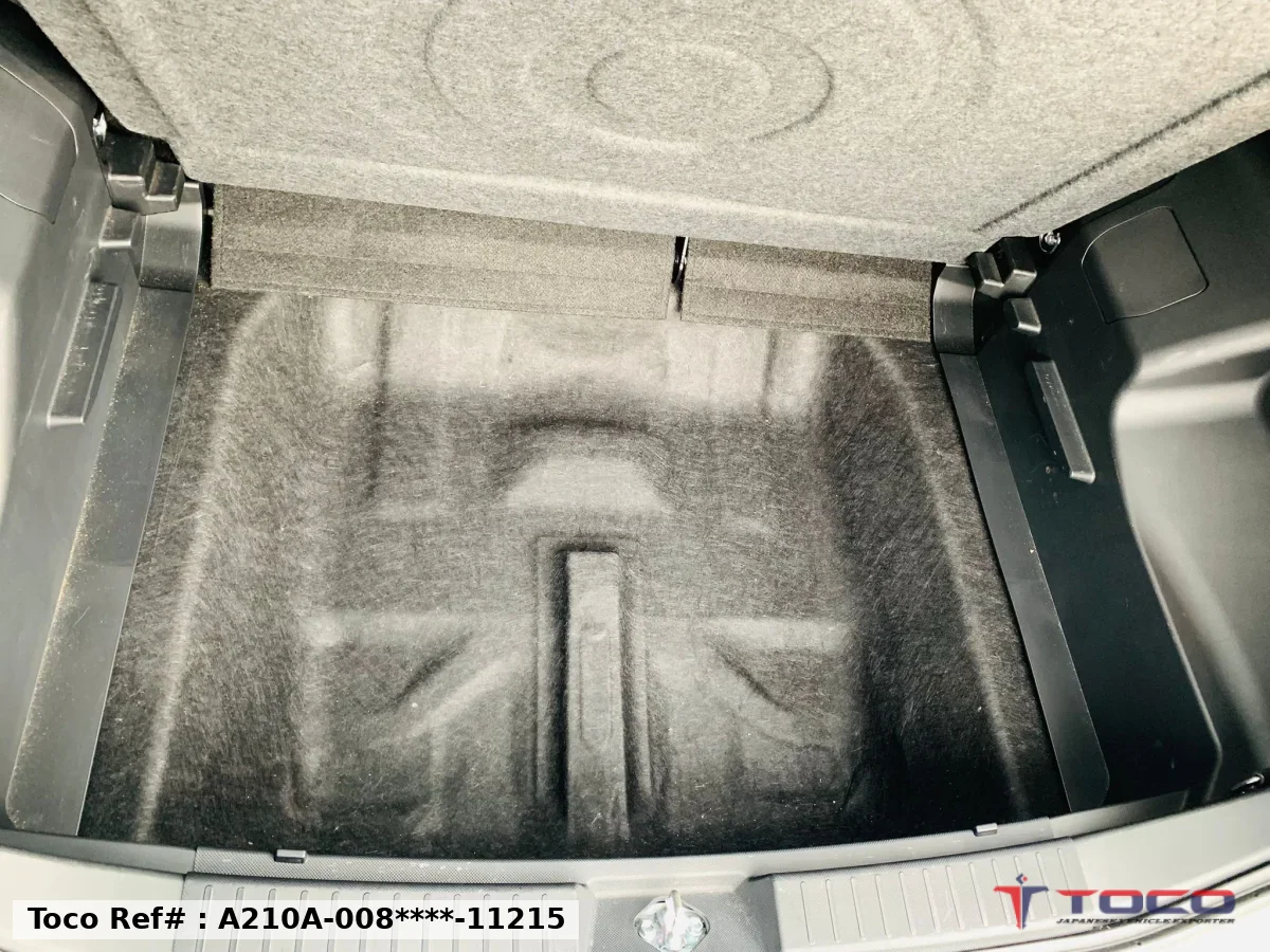 2024 TOYOTA RAIZE