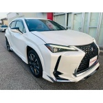 2023 LEXUS UX250h