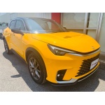 2024 LEXUS LBX BESPOKE BULID